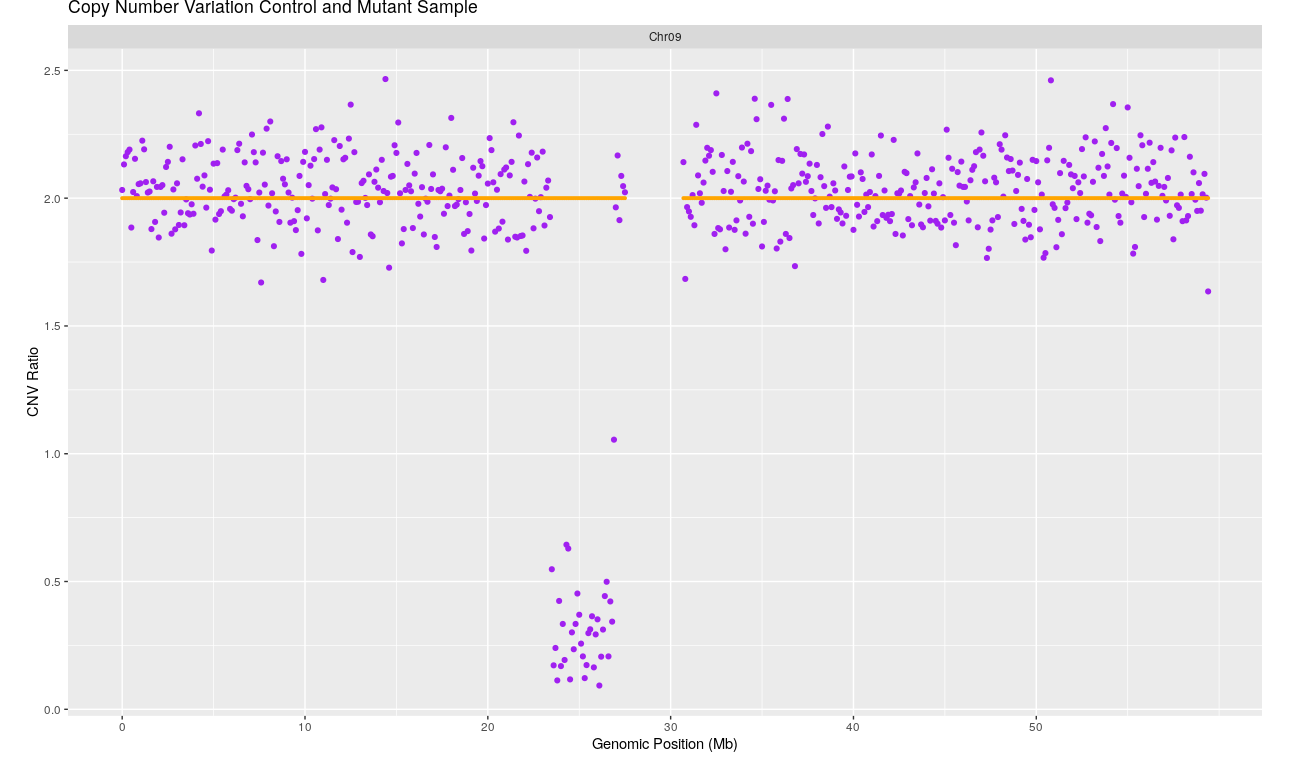 _images/Rplot.png
